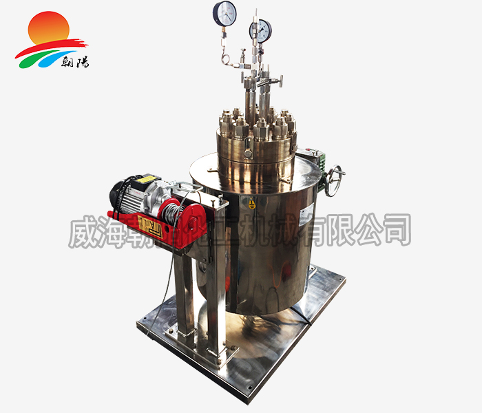 中國地質(zhì)大學-超高溫高壓反應(yīng)釜
