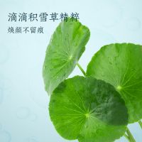積雪草面膜