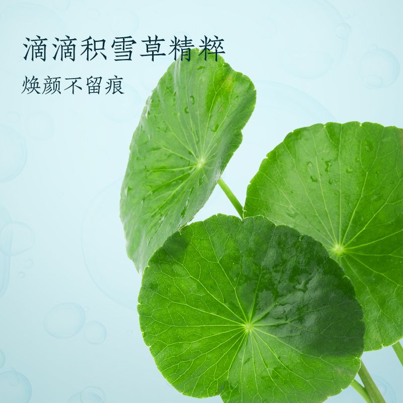 積雪草面膜