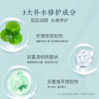 積雪草面膜